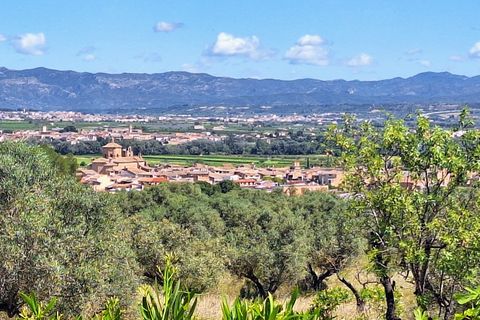Landejendom i Ginestar, Tarragona, Ginestar - € 375.000 | Ref: CC845 - foto 15